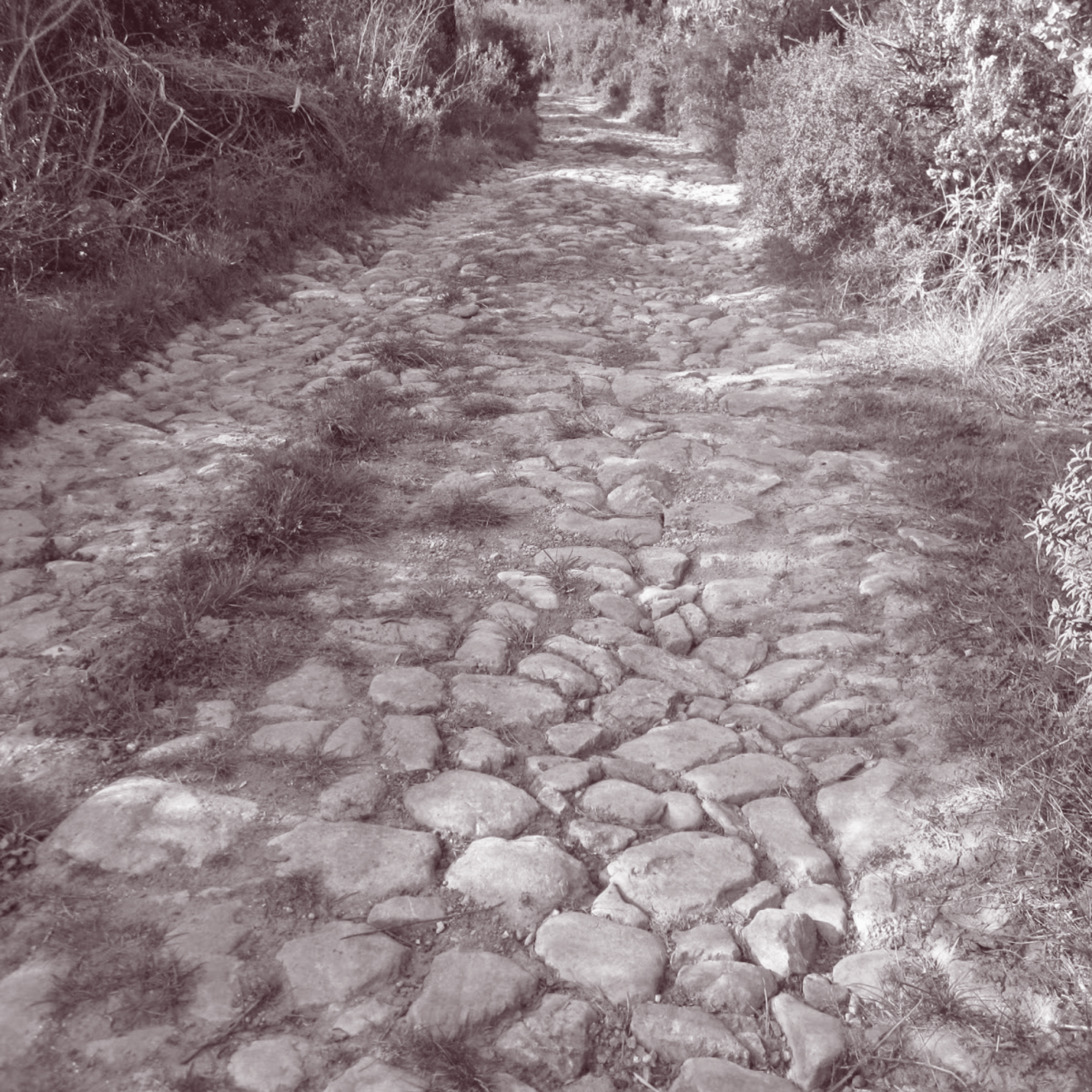 Calçada romana junto ao Torrão